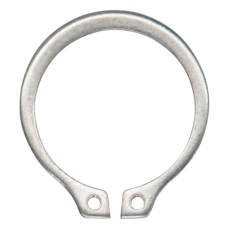 WILDEN RETAINING RING USED IN 0.5